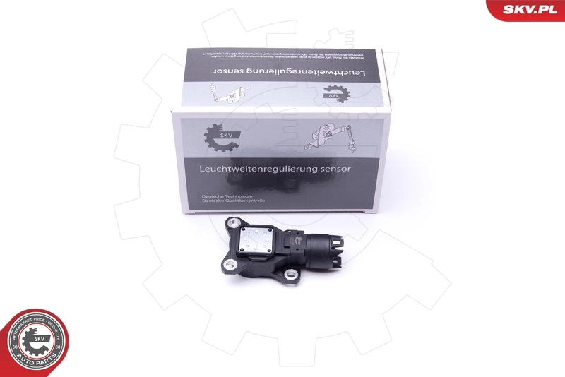 Sensor, eccentric shaft (variable valve lift)